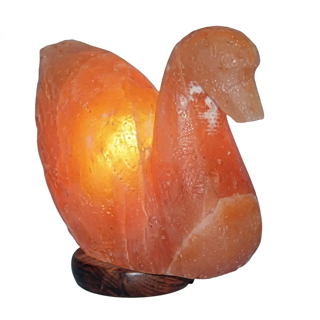 Swan/Duck shaped Pink salt lamp - Image 4